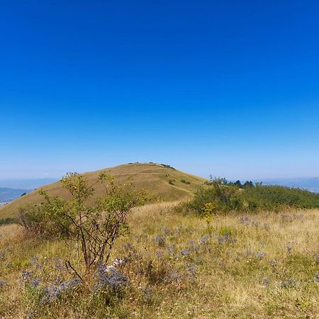 B&B Il Sentiero Di Assisi Eksteriør billede
