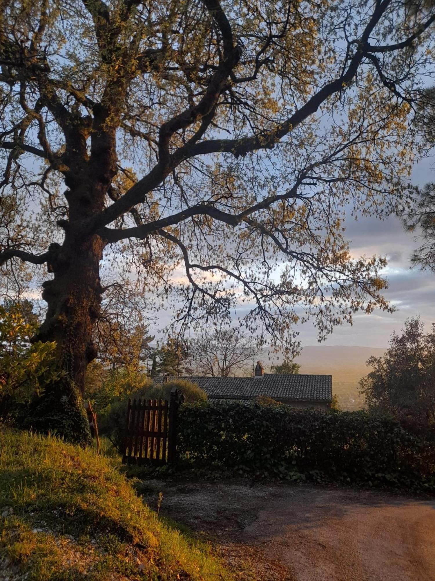 B&B Il Sentiero Di Assisi Eksteriør billede