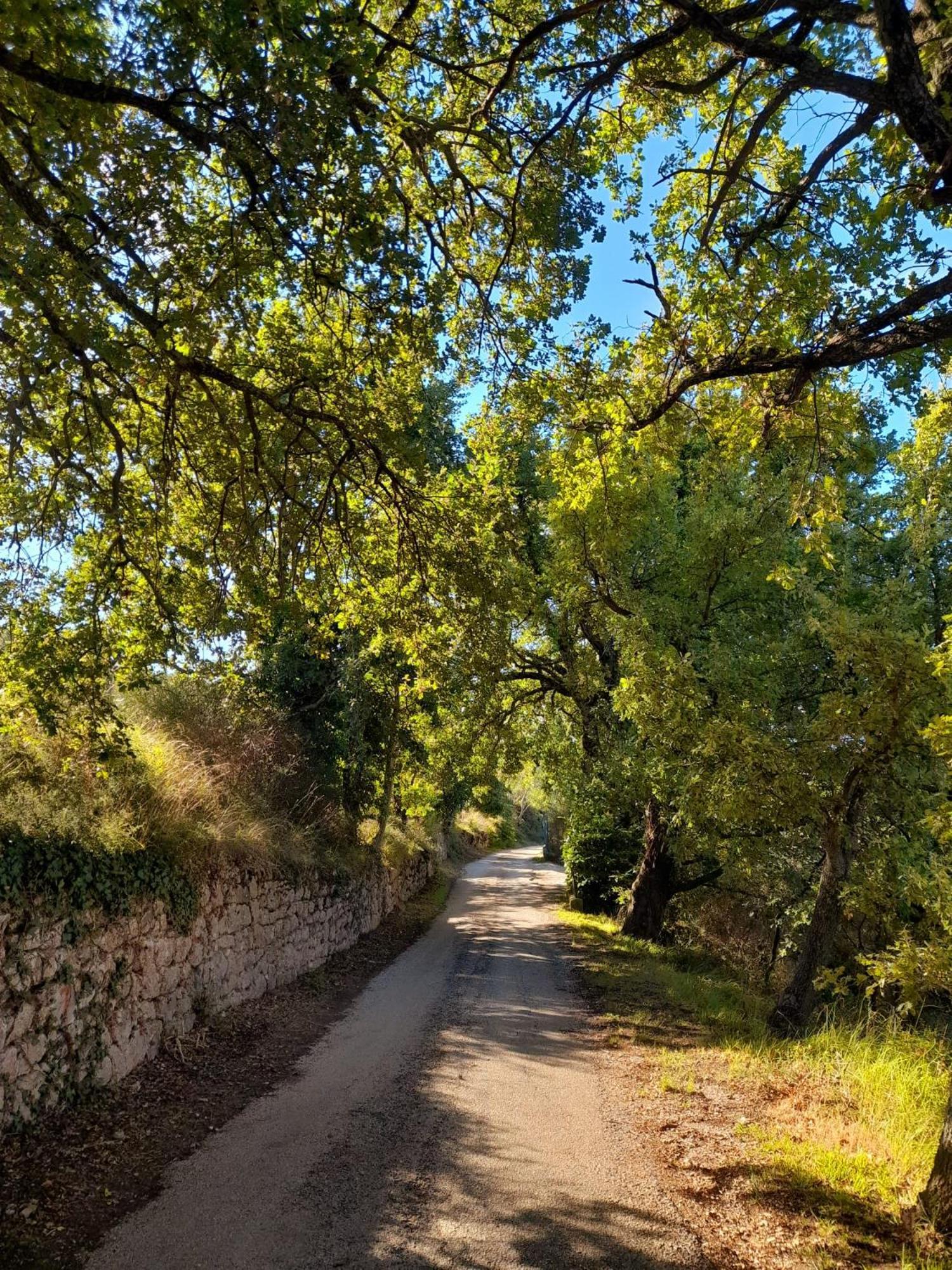 B&B Il Sentiero Di Assisi Eksteriør billede