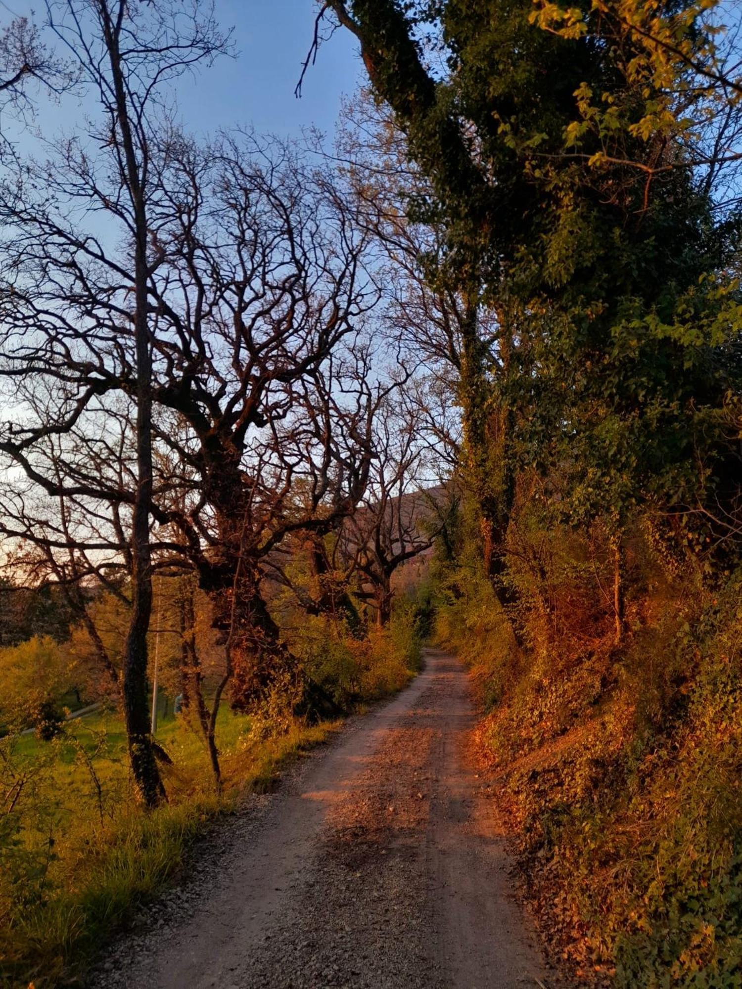 B&B Il Sentiero Di Assisi Eksteriør billede