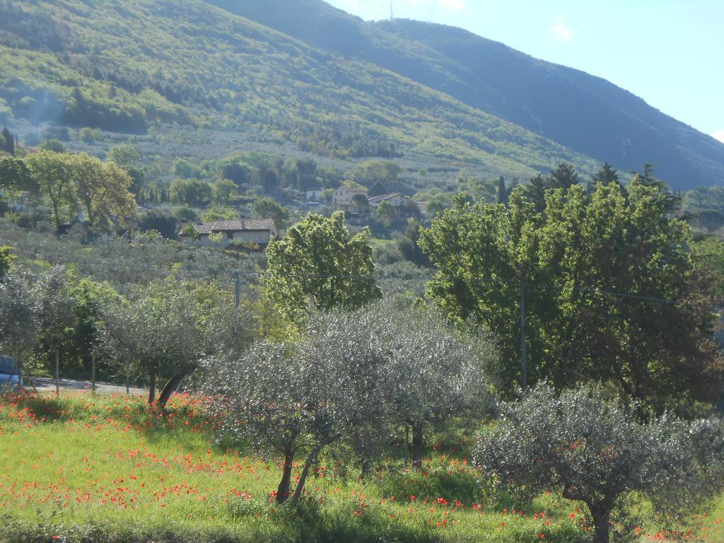 B&B Il Sentiero Di Assisi Eksteriør billede