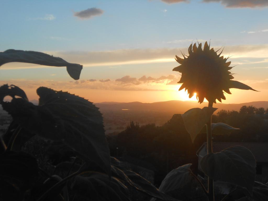 B&B Il Sentiero Di Assisi Eksteriør billede