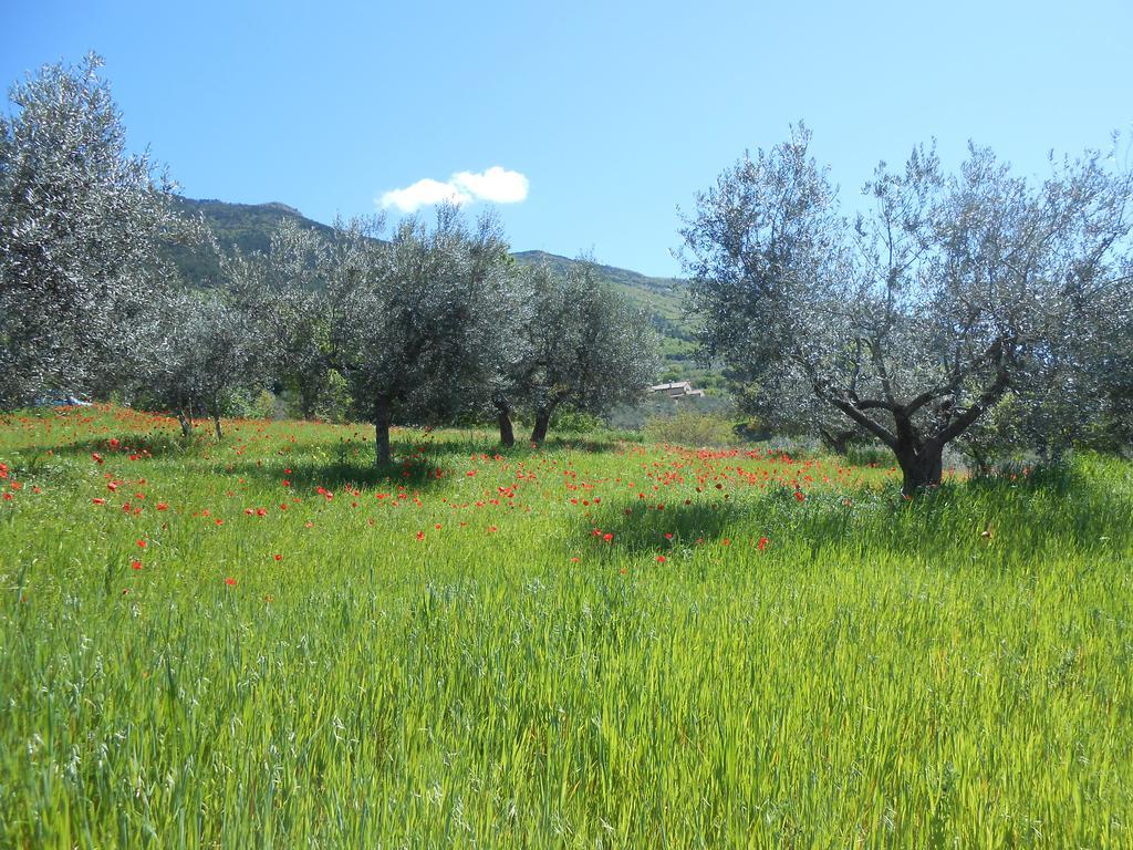 B&B Il Sentiero Di Assisi Eksteriør billede