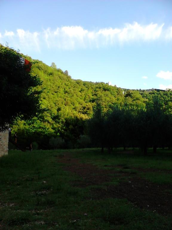 B&B Il Sentiero Di Assisi Eksteriør billede