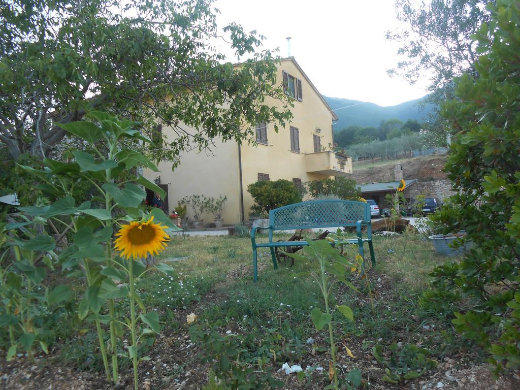 B&B Il Sentiero Di Assisi Eksteriør billede