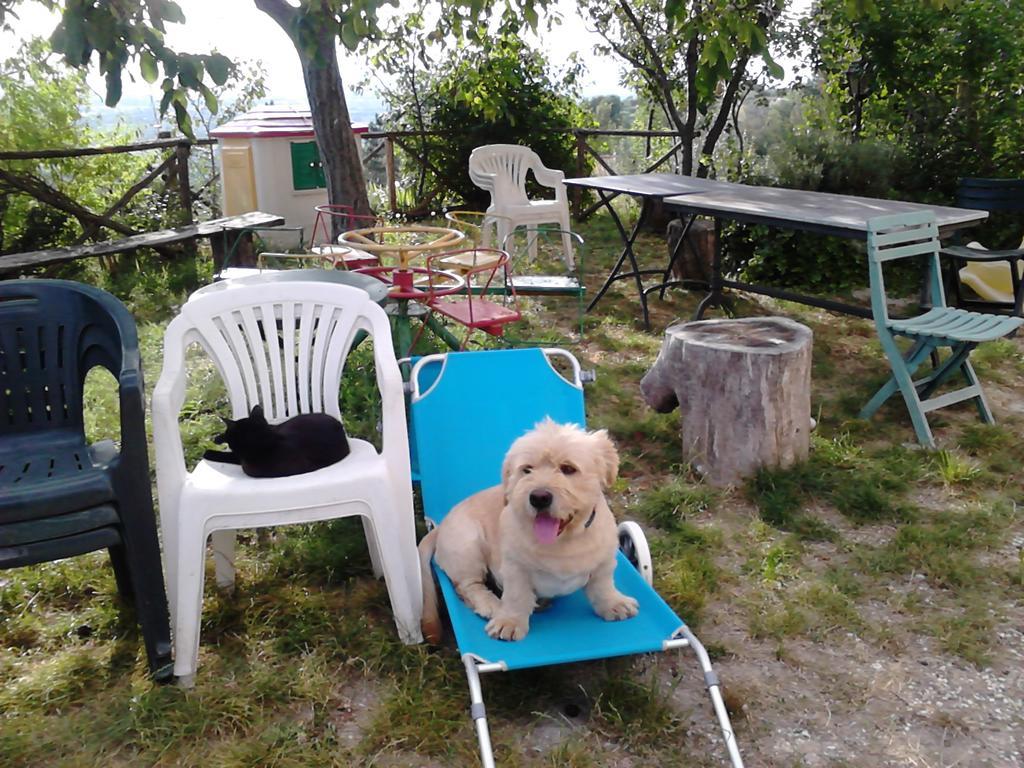 B&B Il Sentiero Di Assisi Eksteriør billede